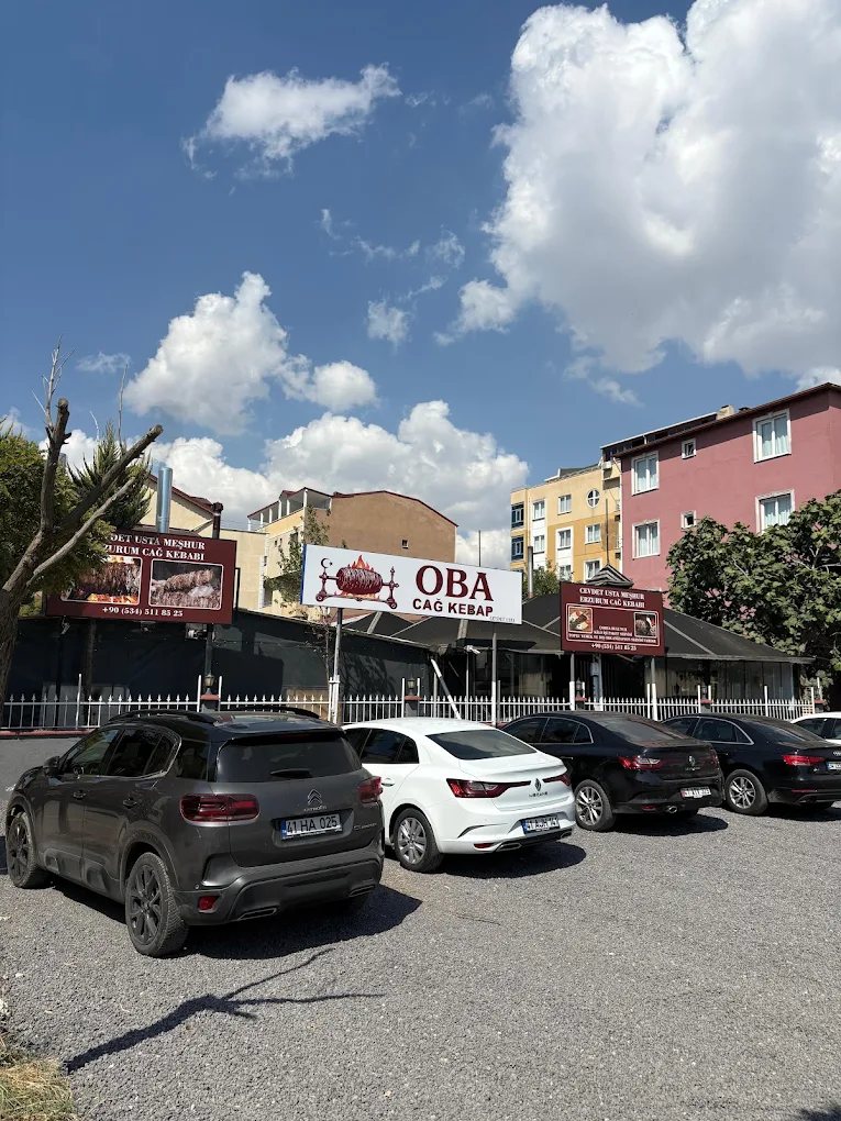 Odun Ateşinde Ocak Başı Cağ Kebabı